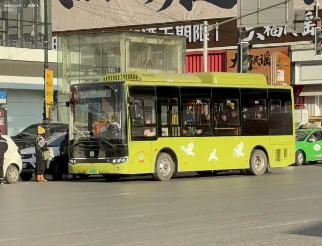 800BUS
