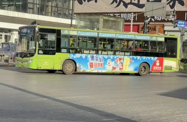 800BUS