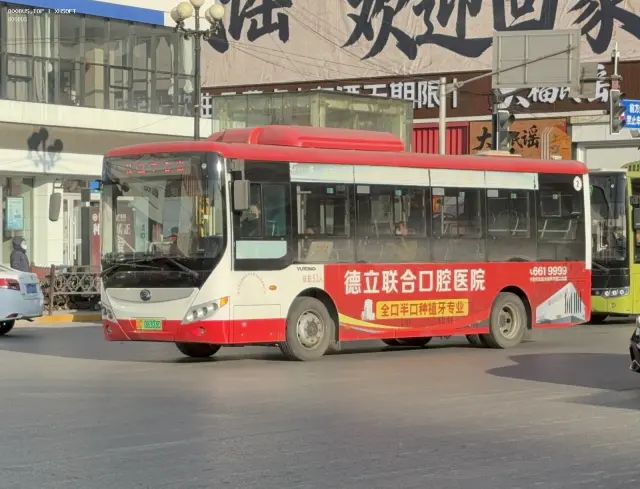 辽C 08303D