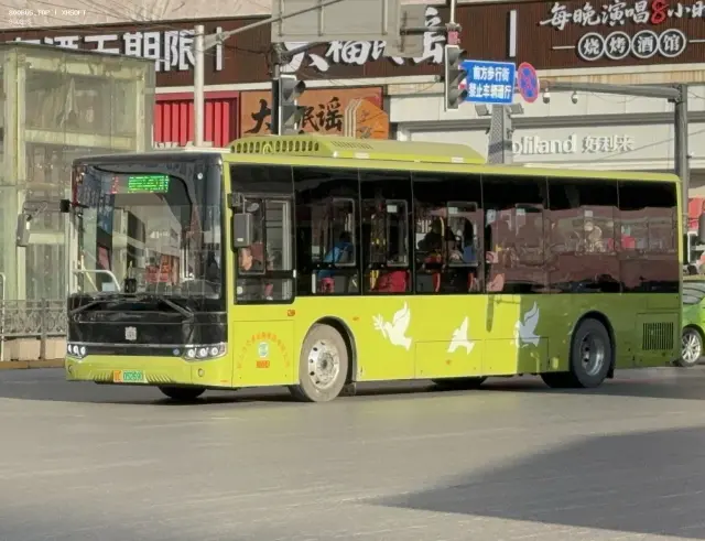 800BUS