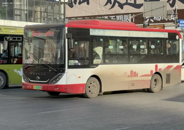 800BUS
