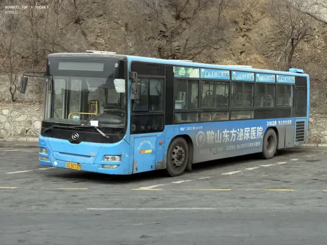 800BUS