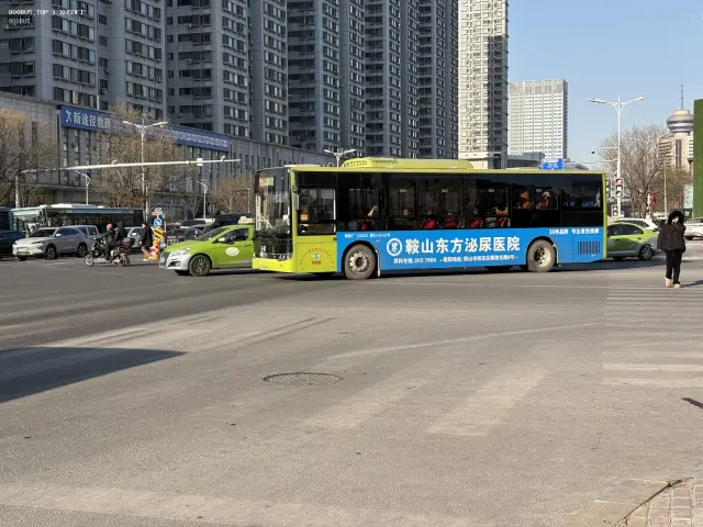 800BUS