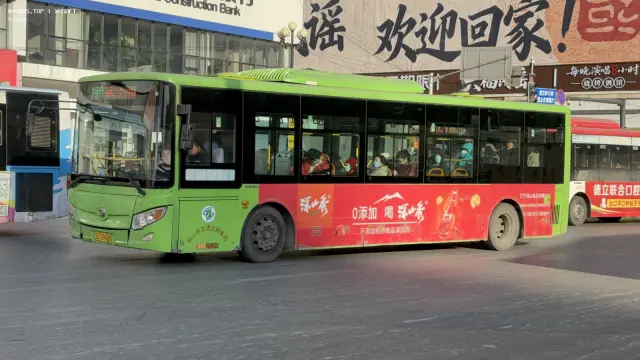 800BUS