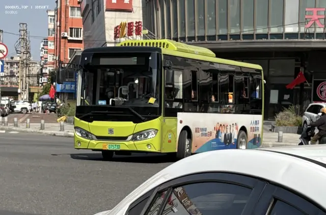 800BUS