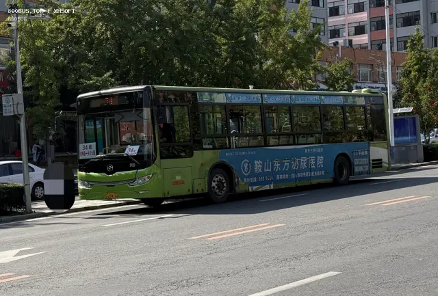 800BUS
