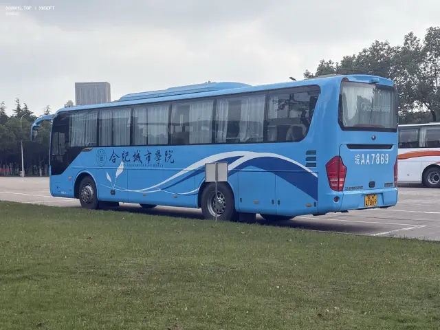 800BUS