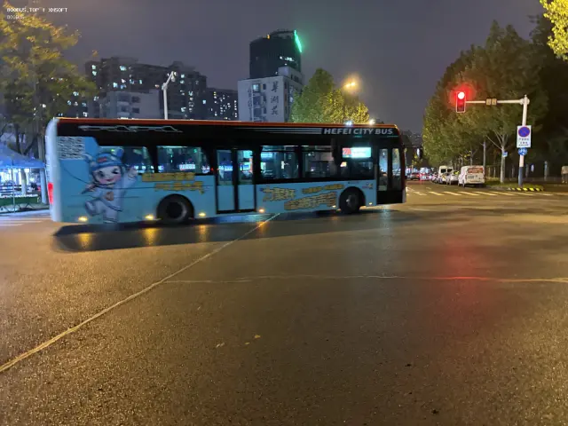 800BUS
