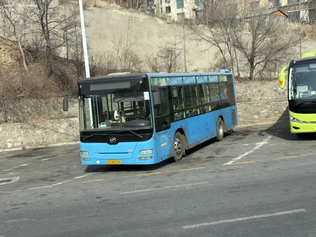 800BUS