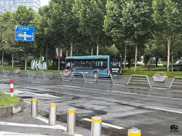 浙G 00615D