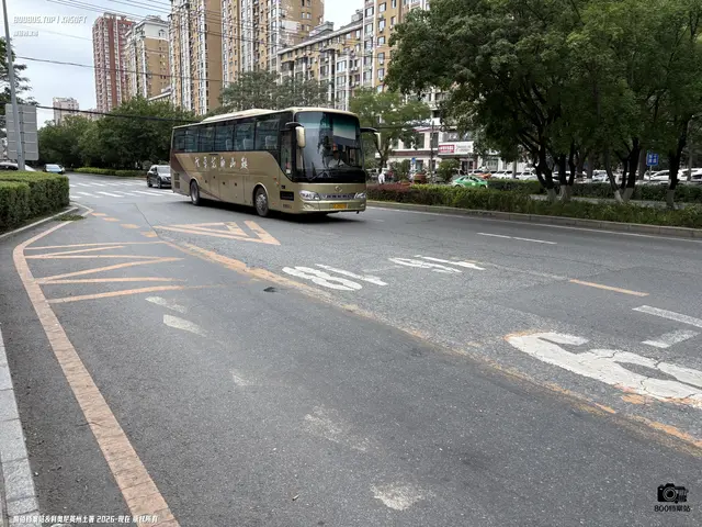 辽C 25599