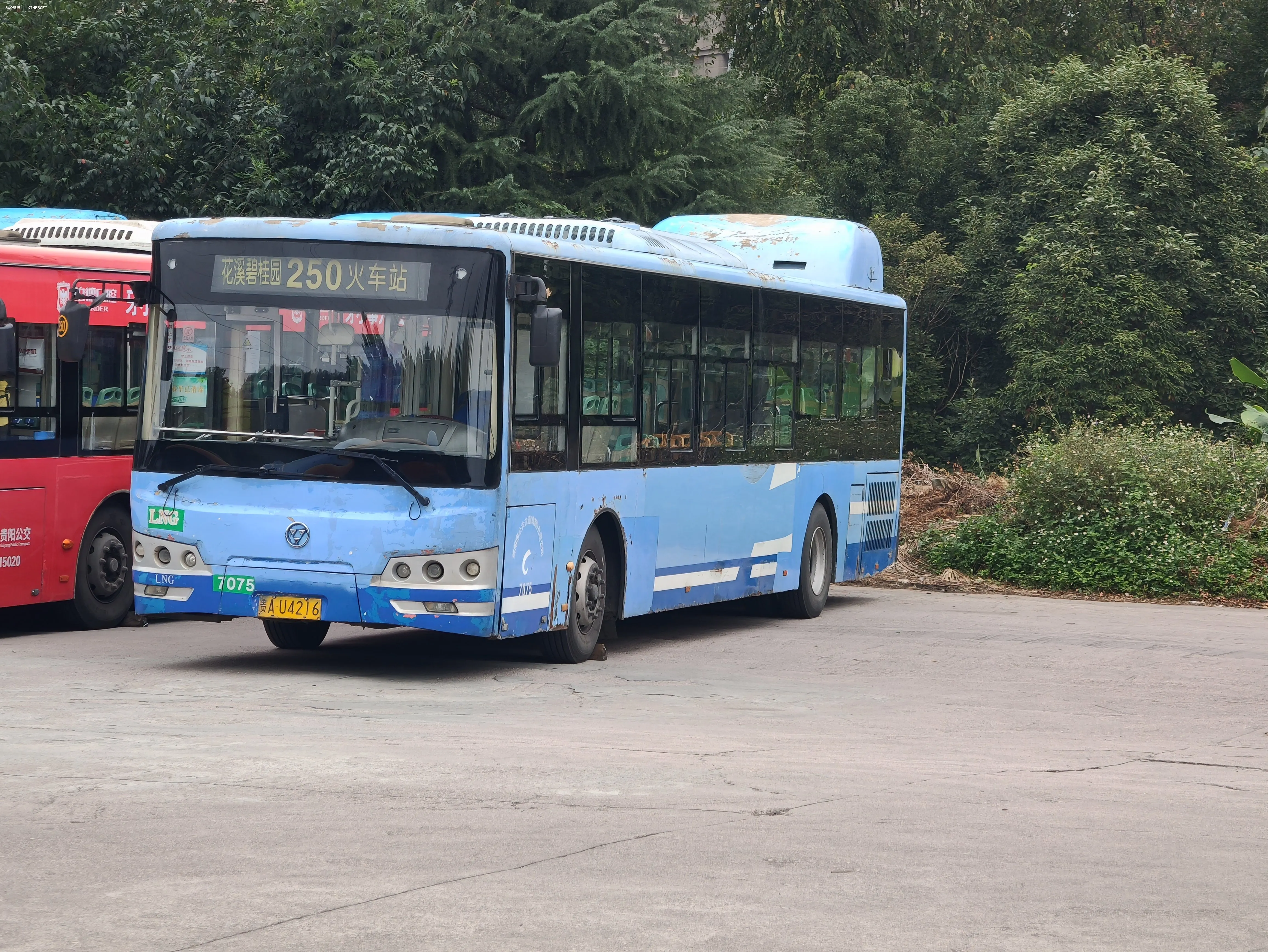 Bus Archive
