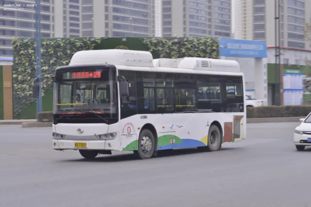800BUS