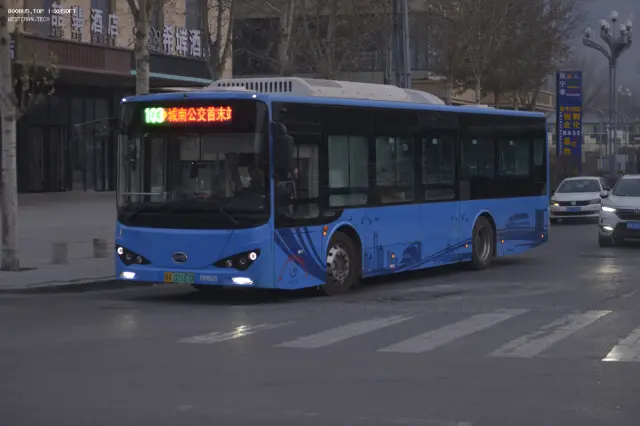 800BUS