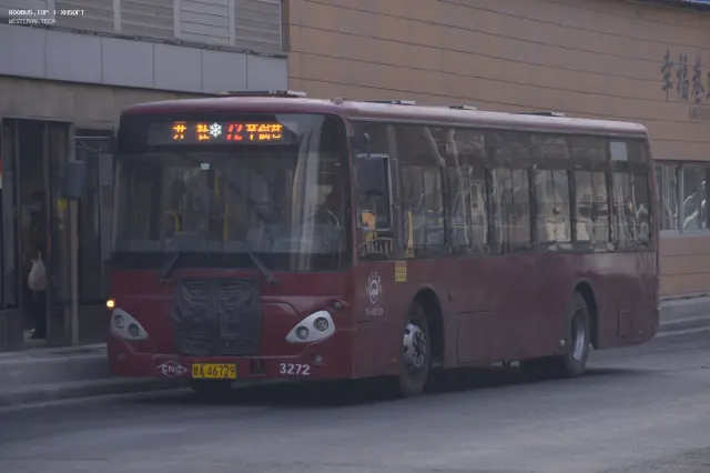 800BUS