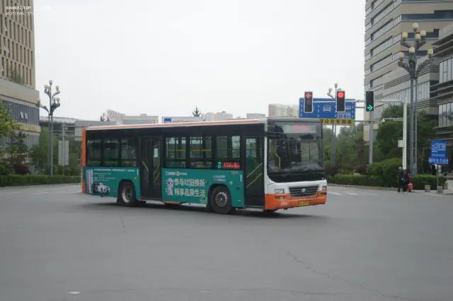 800BUS