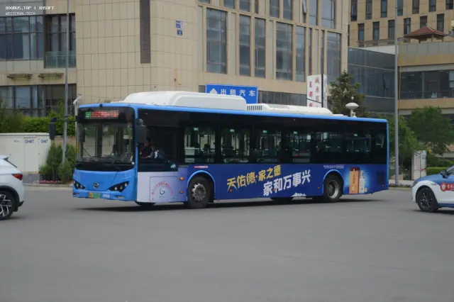800BUS