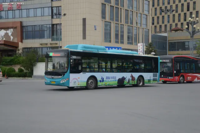 800BUS