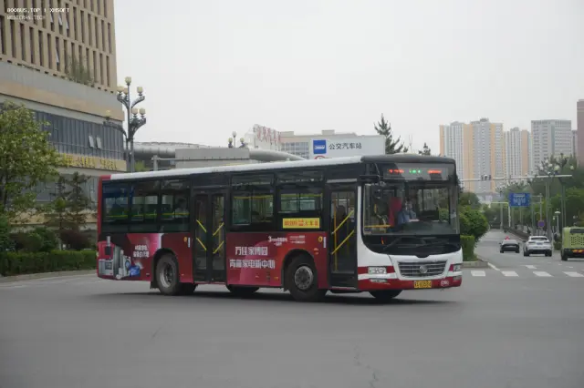 800BUS
