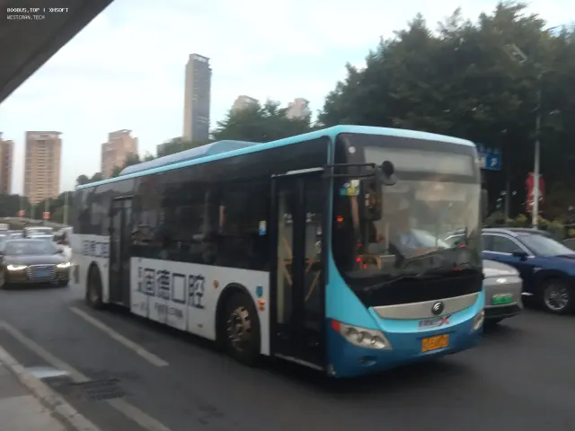 800BUS