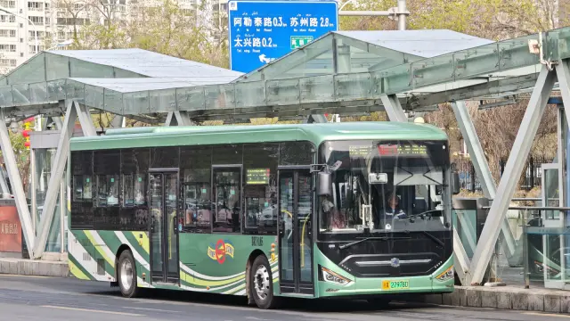 800BUS