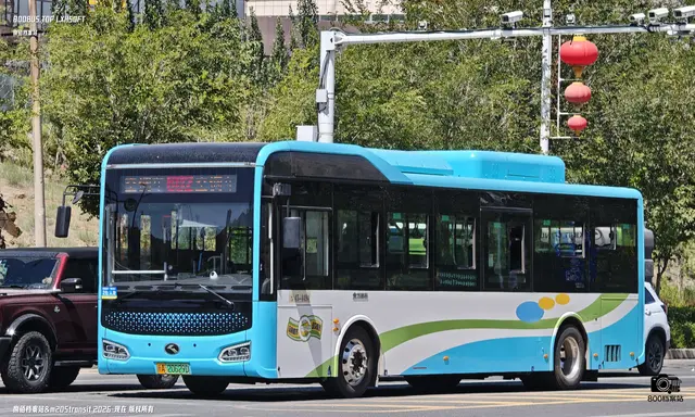 新A 20629D