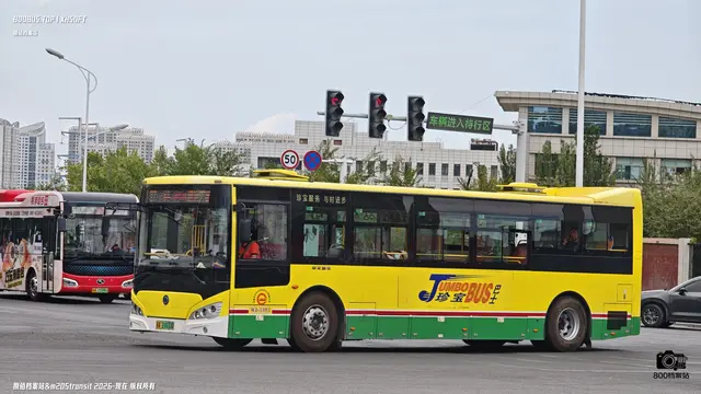 新A 21633D