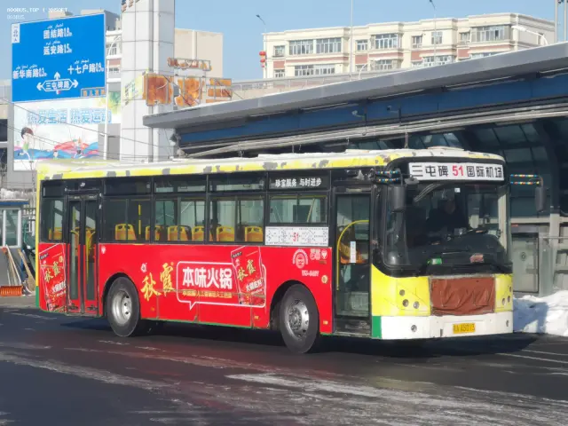 800BUS