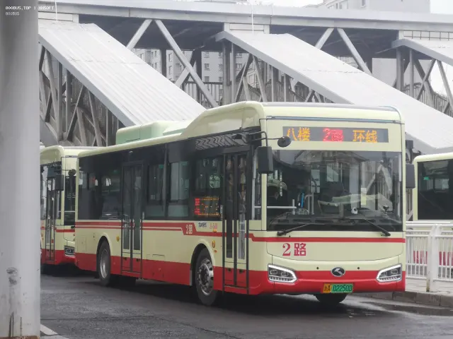 800BUS