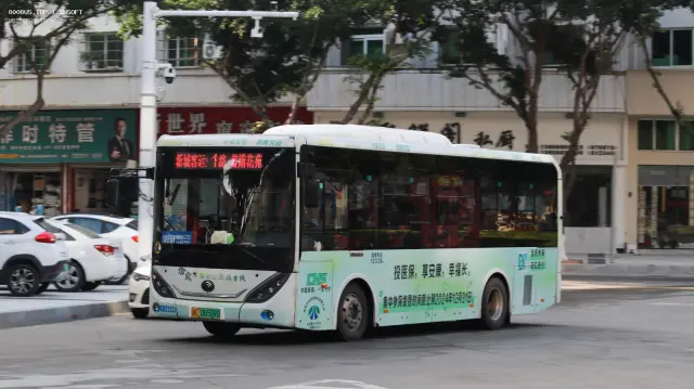 浙C.06509D