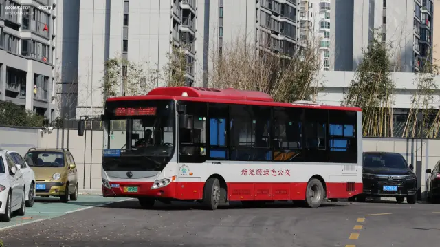 浙C.09520D