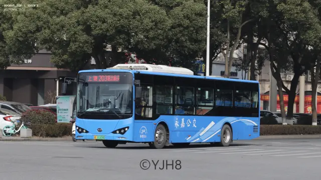 浙C.01209D