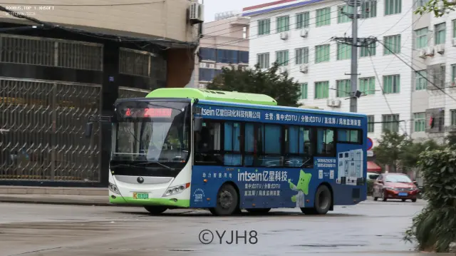 浙C.01311D