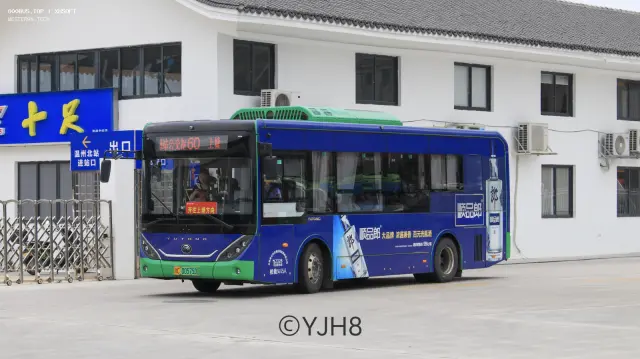 浙C.00575D