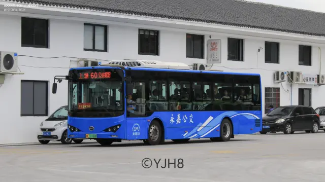 浙C.31168D