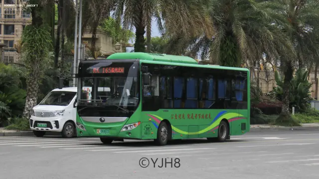 浙C.06882D