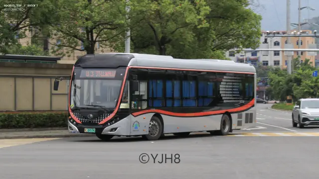 浙C.09579D
