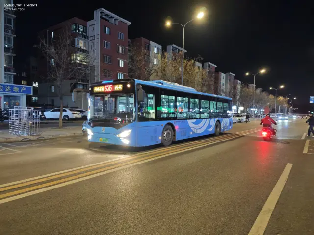 800BUS