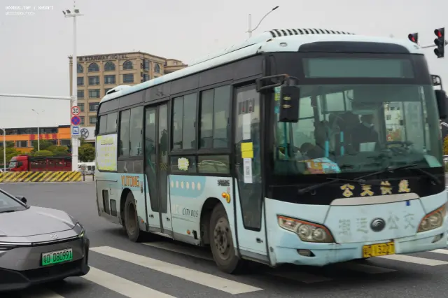 800BUS