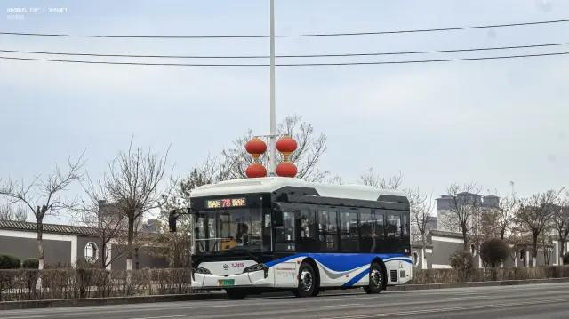 蒙B·17356D