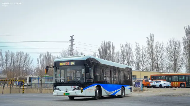 蒙B 17053D