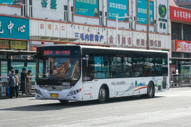 800BUS