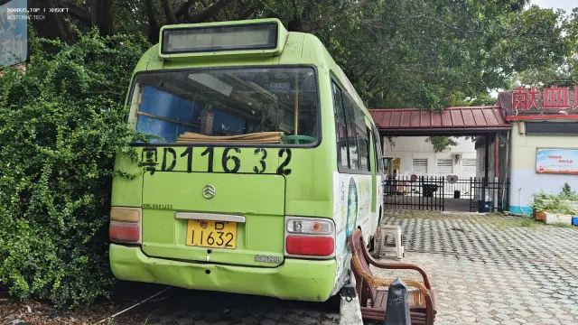 800BUS