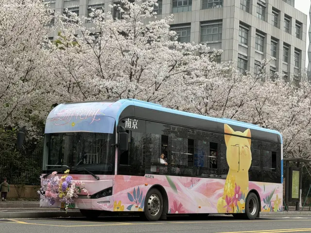 苏A04279D