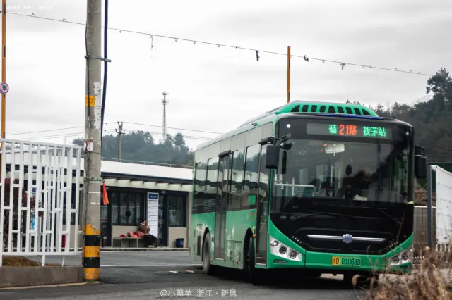 浙D 01068D