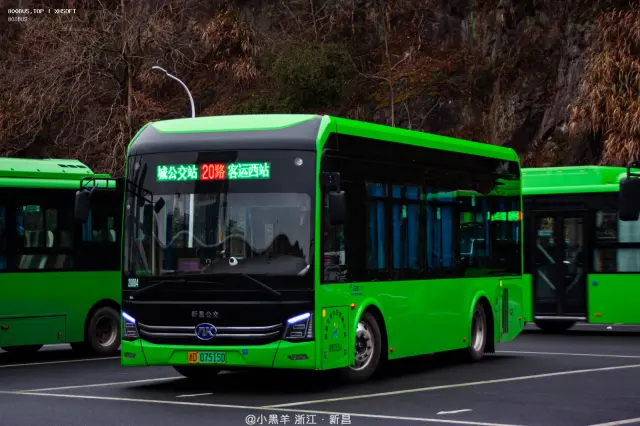 浙D 07515D