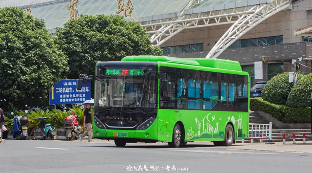 浙D 01505D