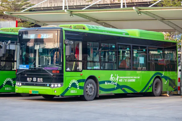 粤A·52509D