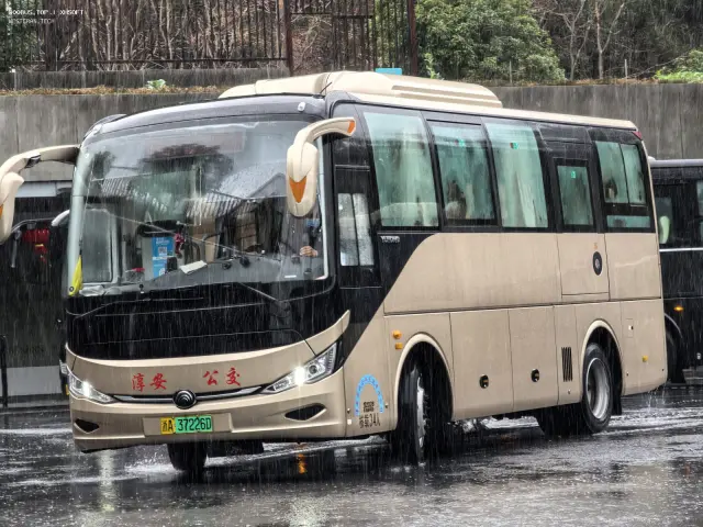 浙A 37226D