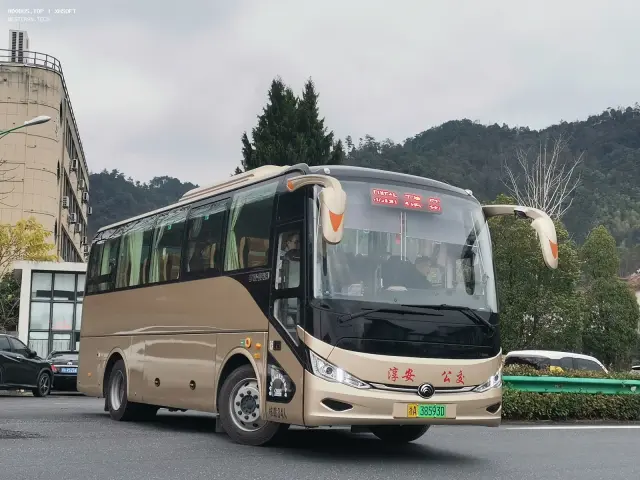 浙A 38593D